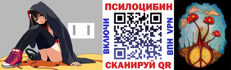 Купить  Лукоянов  Псилоцибиновые грибы GOLDEN TEACHER 
